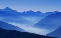 世界篮球联赛外援表现惊艳，男篮世界杯cba外援